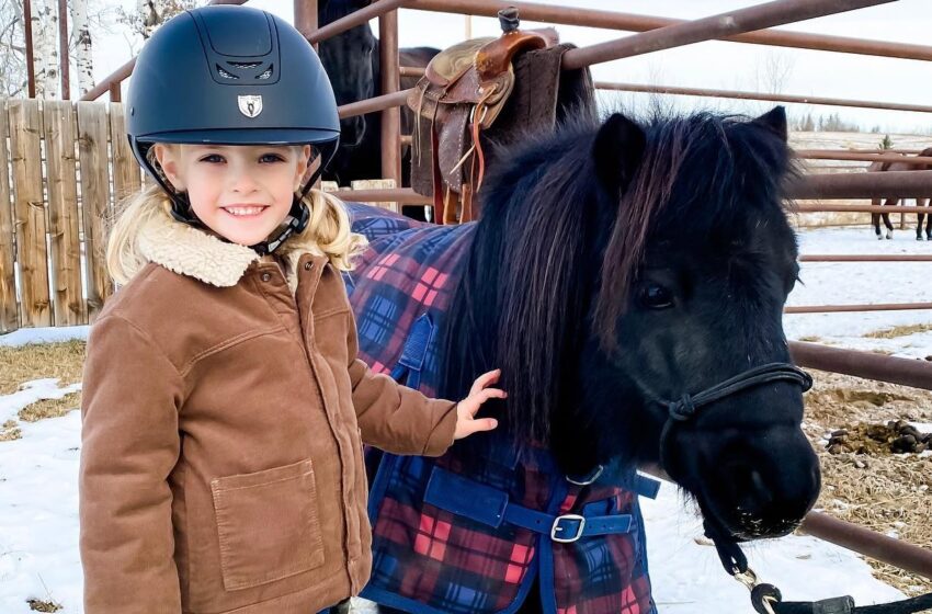  Who plays Lyndy Borden on Heartland? Everything to know about the Spencer twins